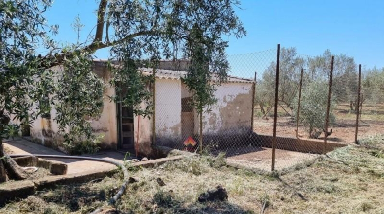 Málaga - Ronda - 16450m2