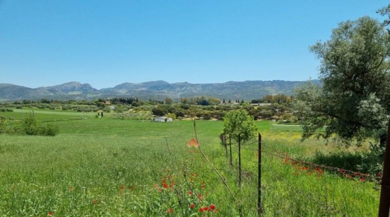 Málaga - Ronda - 16450m2