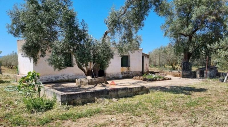 Málaga - Ronda - 16450m2