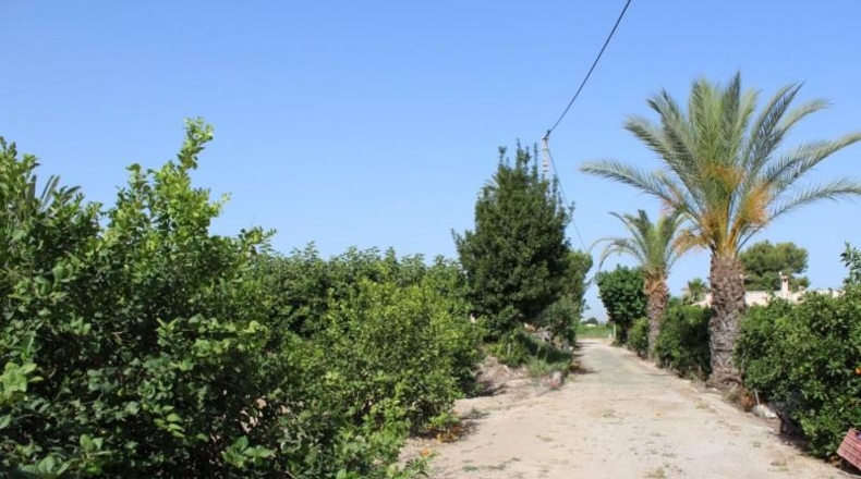 Alicante - Orihuela - 7500m2