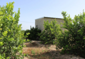 Casa de camp amb terreny en venda a la España, Oriola, ref.: TR139308 foto
