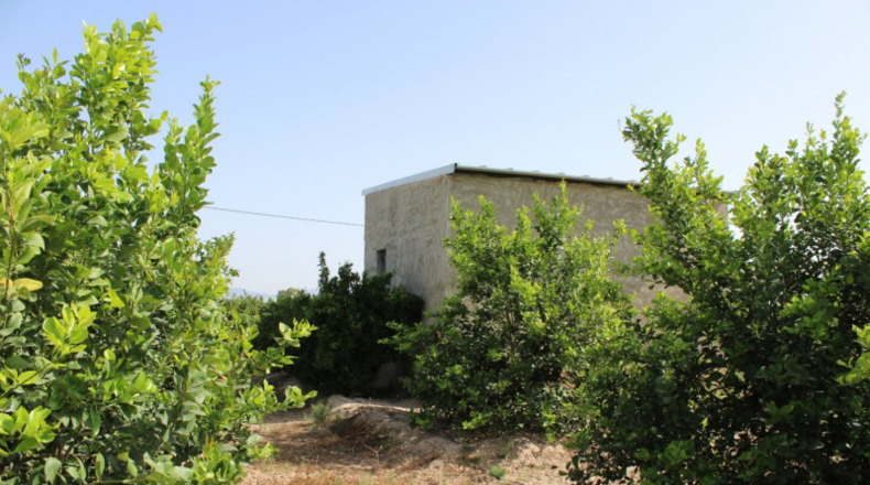 Alicante - Orihuela - 7500m2