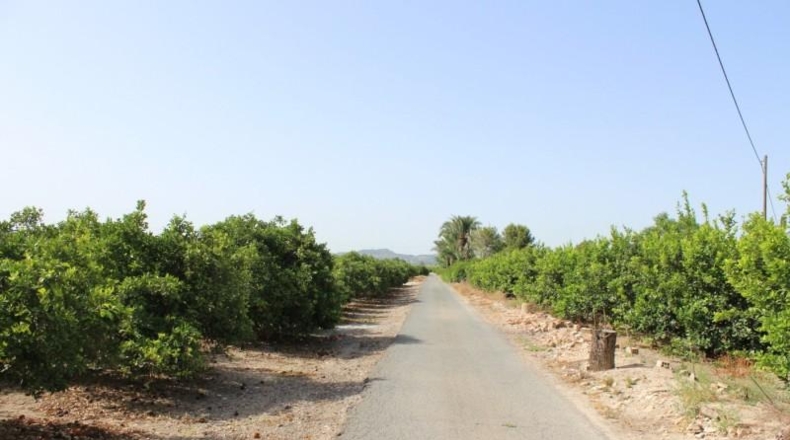 Alicante - Orihuela - 7500m2