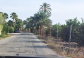 Terreny no urbanitzable en venda a la España, Elx, ref.: TR118735 foto