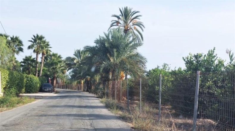 Alicante - Elche - 26356m2