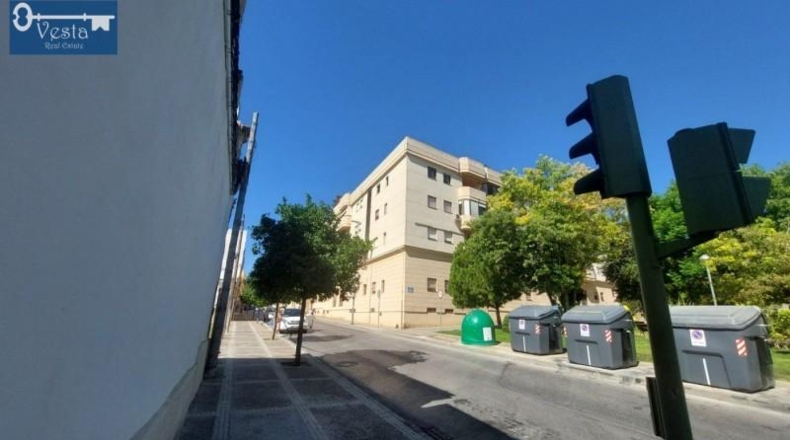 Cádiz - Jerez de la Frontera - 520m2