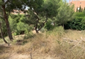 Sòl urbà en venda a la España, Molina de Segura, ref.: TR119177 foto