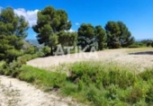 Detached villa with land for sale on España, Ontinyent, ref: TR320355 photo