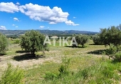 Detached villa with land for sale on España, Ontinyent, ref: TR320355 photo