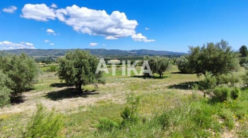 Valencia - Onteniente - 880m2