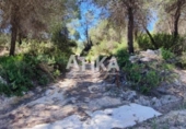 Detached villa with land for sale on España, Ontinyent, ref: TR320355 photo