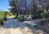 Detached villa with land for sale on España, Ontinyent, ref: TR320355 photo