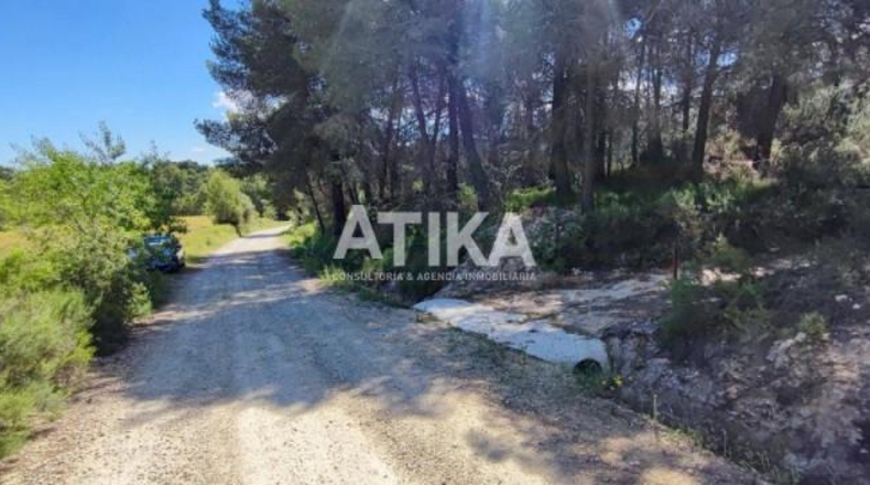 Valencia - Onteniente - 880m2