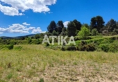Detached villa with land for sale on España, Ontinyent, ref: TR320355 photo