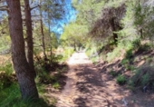 Detached villa with land for sale on España, Ontinyent, ref: TR320355 photo