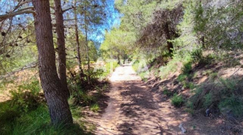 Valencia - Onteniente - 880m2