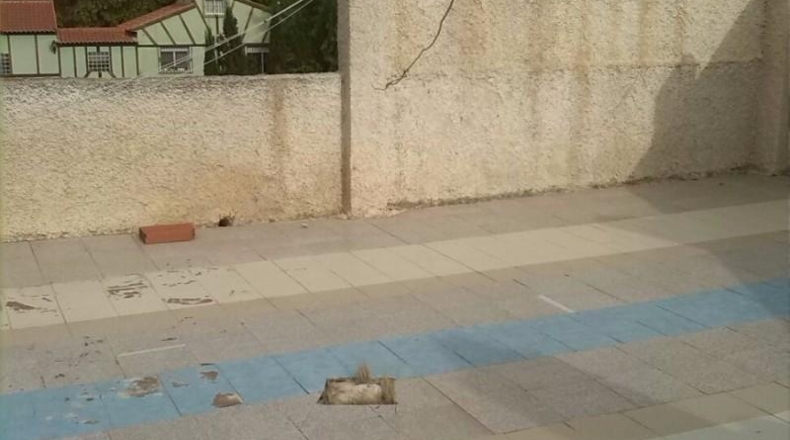 Murcia - Las Torres de Cotillas - 900m2