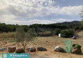 Terreny no urbanitzable en venda a la España, Pineda de Mar, ref.: TR123302 foto