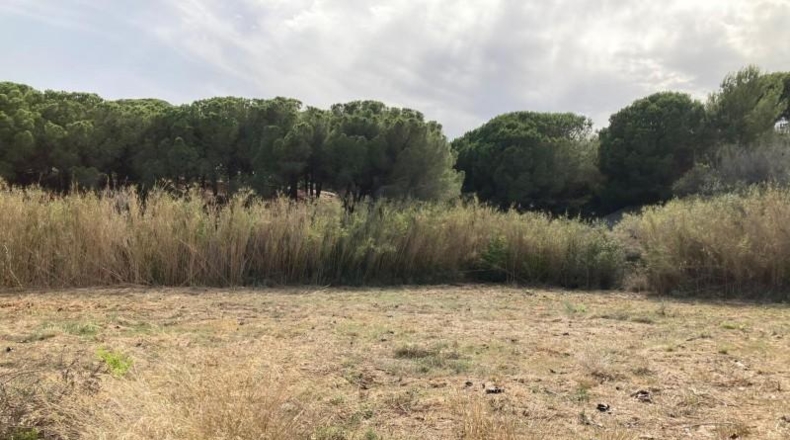 Barcelona - Pineda de Mar - 6475m2