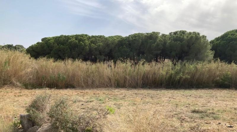 Barcelona - Pineda de Mar - 6475m2
