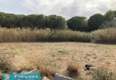 Terreny no urbanitzable en venda a la España, Pineda de Mar, ref.: TR123431 foto