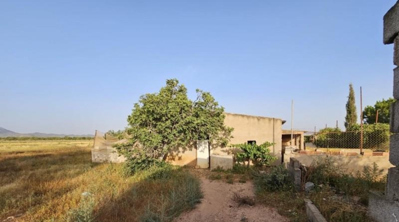 Murcia - Fuente Álamo de Murcia - 15000m2