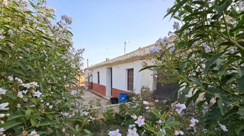 Murcia - Fuente Álamo de Murcia - 15000m2