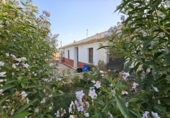 Casa de camp amb terreny en venda a la España, Fuente Álamo, ref.: TR148461 foto