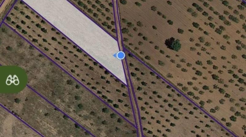 Murcia - Fuente Álamo de Murcia - 15000m2