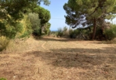 Non-developable land for sale on España, Pineda de Mar, ref: TR123640 photo