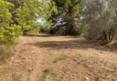 Non-developable land for sale on España, Pineda de Mar, ref: TR123640 photo