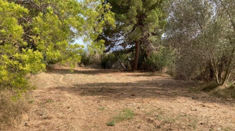 Barcelona - Pineda de Mar - 6475m2