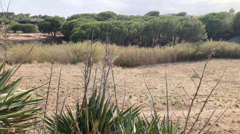 Barcelona - Pineda de Mar - 6475m2