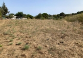 Non-developable land for sale on España, Pineda de Mar, ref: TR123640 photo