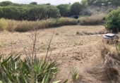 Non-developable land for sale on España, Pineda de Mar, ref: TR123640 photo