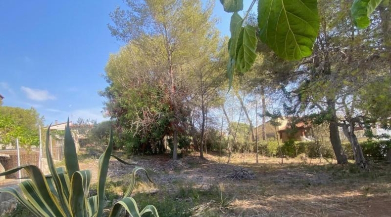 Tarragona - Cunit - 1066m2