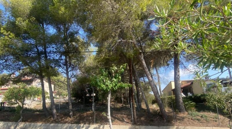 Tarragona - Cunit - 1066m2