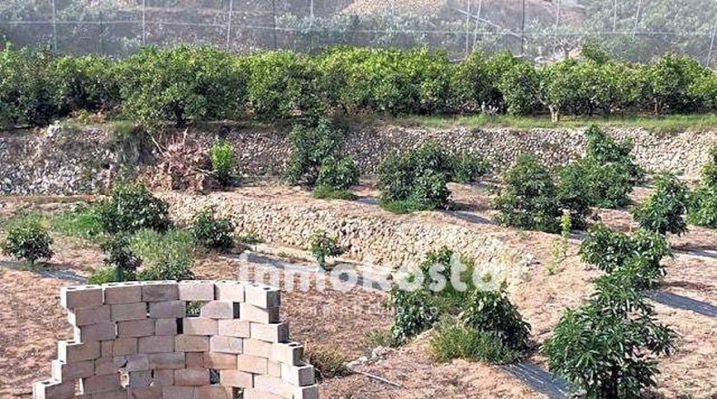 Alicante - Polop - 3691m2