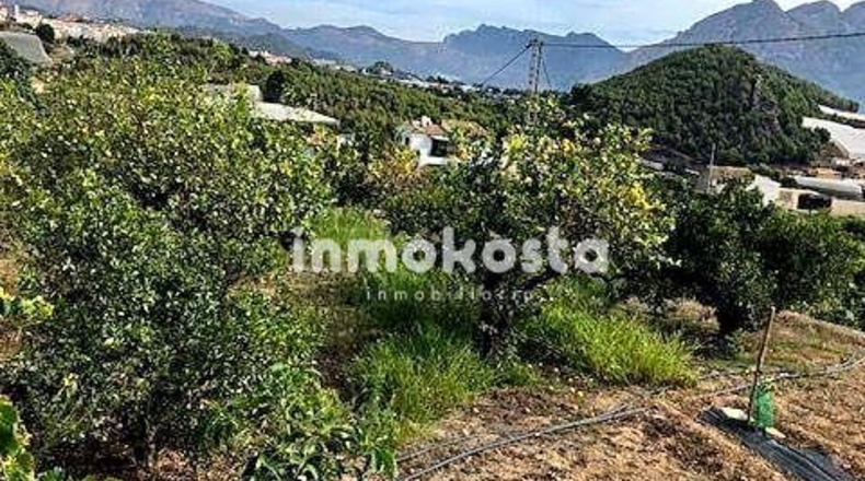 Alicante - Polop - 3691m2
