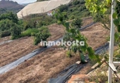 Casa de camp amb terreny en venda a la España, Polop, ref.: TR149103 foto