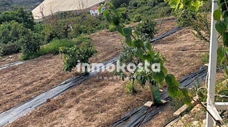 Alicante - Polop - 3691m2