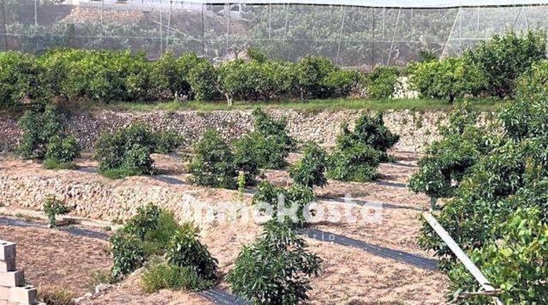 Alicante - Polop - 3691m2