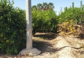 Sòl urbà en venda a la España, Múrcia, ref.: TR124030 foto