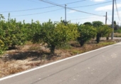Sòl urbà en venda a la España, Múrcia, ref.: TR124030 foto