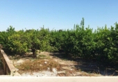 Sòl urbà en venda a la España, Múrcia, ref.: TR124030 foto