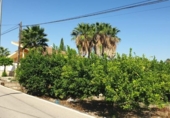 Sòl urbà en venda a la España, Múrcia, ref.: TR124030 foto
