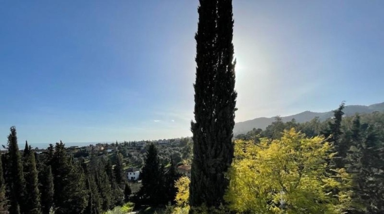 Córdoba - Córdoba - 1205m2