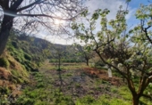 Casa de camp amb terreny en venda a la España, Yunquera, ref.: TR144309 foto