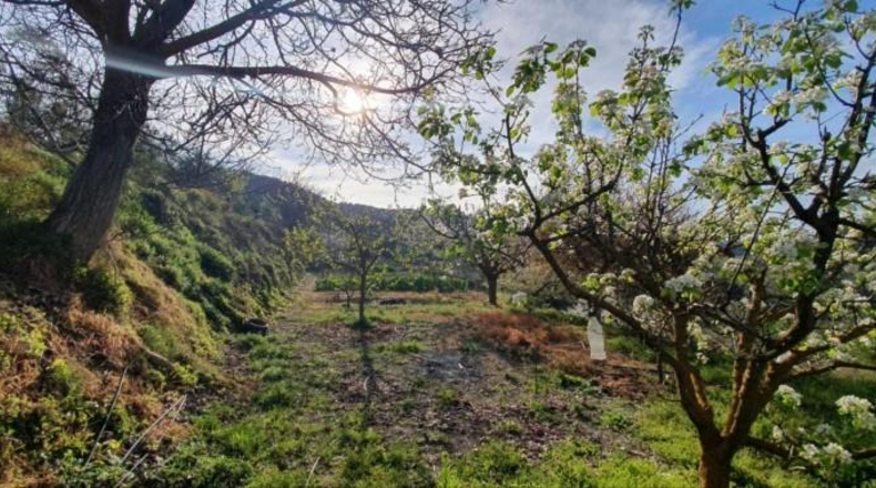 Málaga - Yunquera - 4000m2