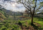 Casa de camp amb terreny en venda a la España, Yunquera, ref.: TR144309 foto